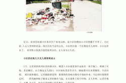 物业公司撤出怎么办(物业公司撤出怎么办营业执照)