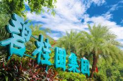 碧桂园是什么物业公司(碧桂园是物业还是开发商)