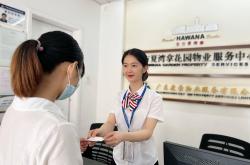 物业管理公司做什么的(物业管理公司主要负责什么工作)