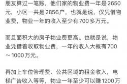 为什么从物业管理(物业管理因为什么产生)