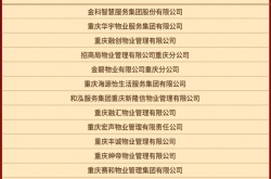 实力什么物业公司(实力什么物业公司好)