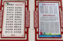 业主临时公约由什么制定(业主临时公约内容)