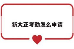 新大正考勤怎么申请(新大正股份有限公司)