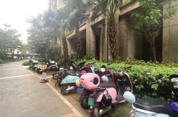 小区电动车乱停怎么管(小区电动车乱停乱放怎么举报)