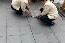 晓月物业有限公司怎么样(晓月物业有限公司怎么样啊)