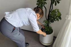 夏季到来物业应做什么(夏天物业工作的宣传)