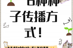 手机种子指什么(手机种子用什么打开)