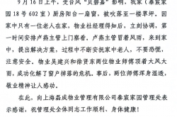台风到来物业可以做什么(台风天气物业怎么做)